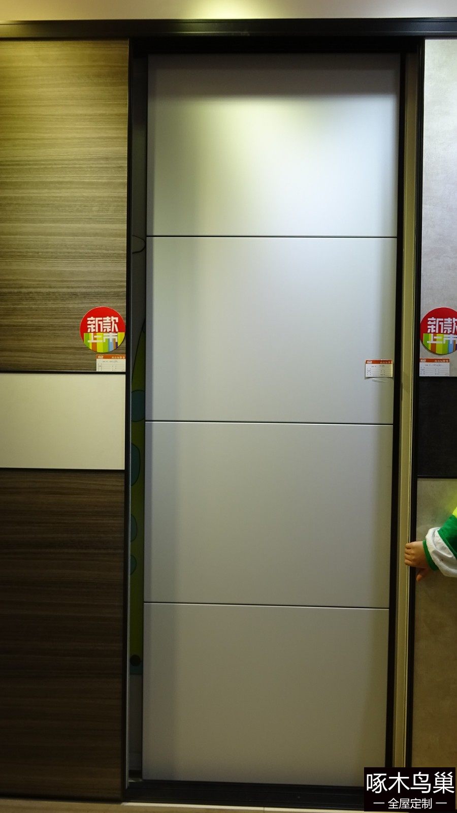 现代风格衣柜门简约风格烤漆面哑光厚板半隐框